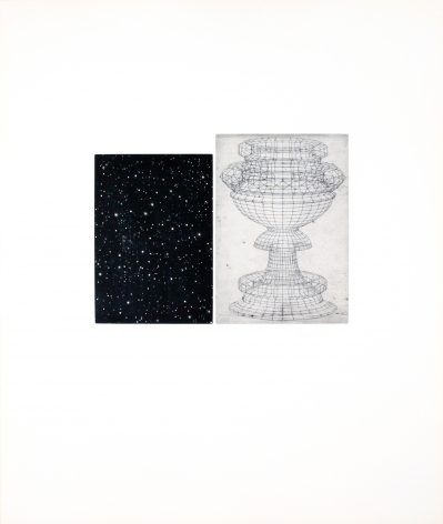 Vija Celmins, Constellation - Uccello,&nbsp;1983